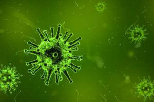 Microbios intestinales influyen en enfermos de cáncer ante la inmunoterapia – Vida Actual – Últimas noticias de Uruguay y el Mundo actualizadas