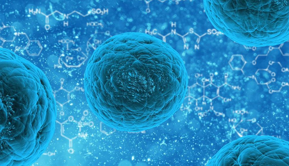 Expertos logran programar nanorobots para buscar y destruir tumores – Vida Actual – Últimas noticias de Uruguay y el Mundo actualizadas