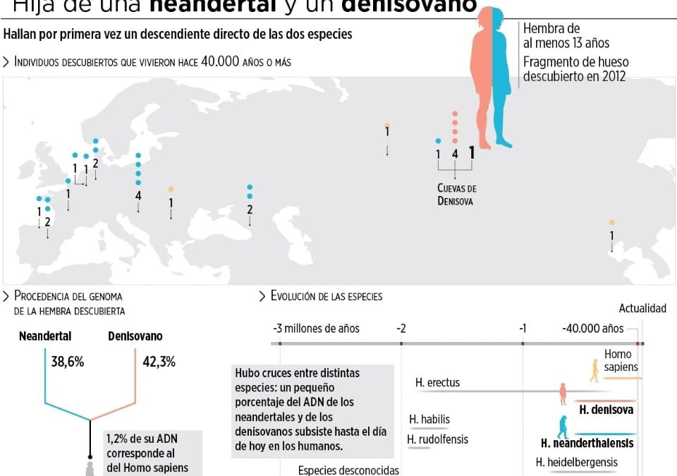 Hallan restos de una nia nacida de 2 especies humanas distintas