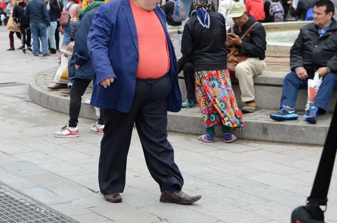 SALUD – Investigadores aportan más luz sobre cómo está implicado el microbioma en la obesidad