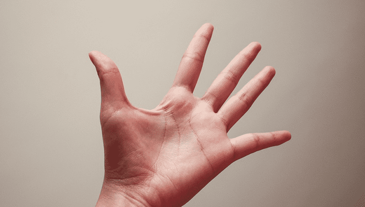 ¿Por qué no tenemos pelo en algunas partes del cuerpo? Esta podría ser la razón La Crónica del Quindío